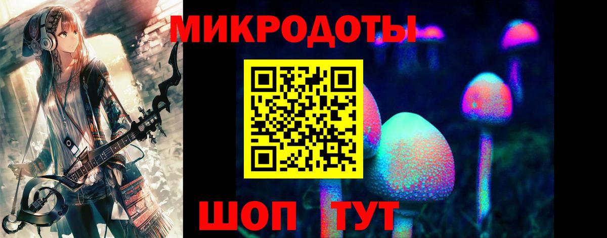 Волжск  Галлюциногенные грибы прущие грибы  Вход с VPN 